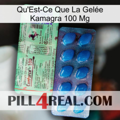 What Is Kamagra Jelly 100Mg new02